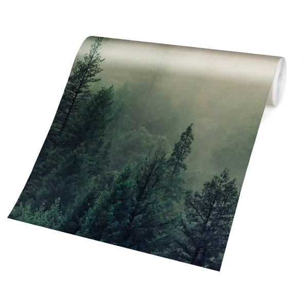 Fototapete Wald im Nebel Erwachen - Vlies - Grün / Mehrfarbig - 288 x 288 cm