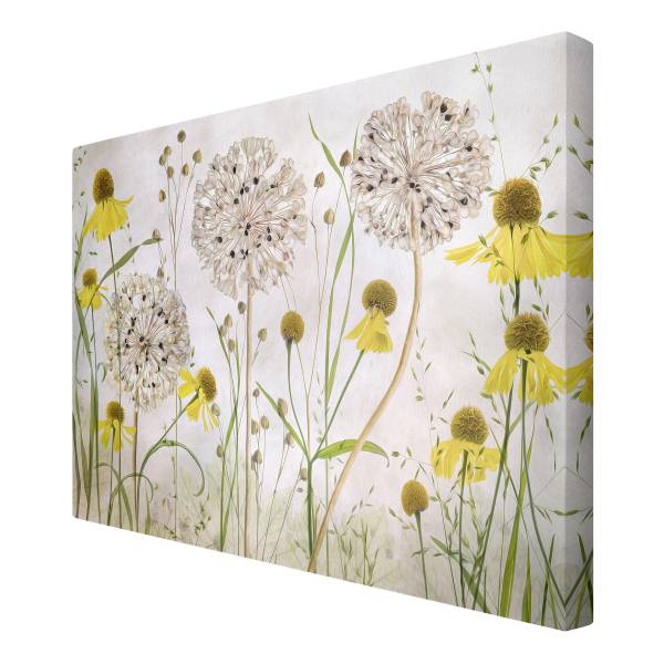 Leinwandbild Allium Helenium - Canvas /  Fichte massiv - Beige / Mehrfarbig - 120 x 80 cm