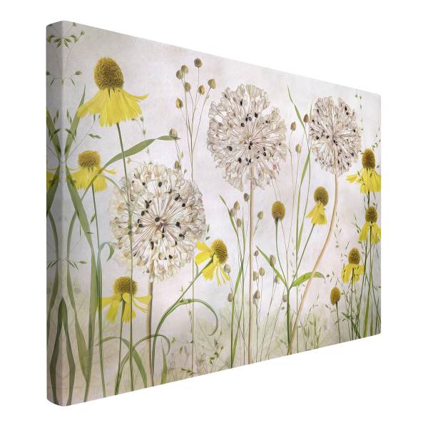 Leinwandbild Allium Helenium - Canvas /  Fichte massiv - Beige / Mehrfarbig - 120 x 80 cm