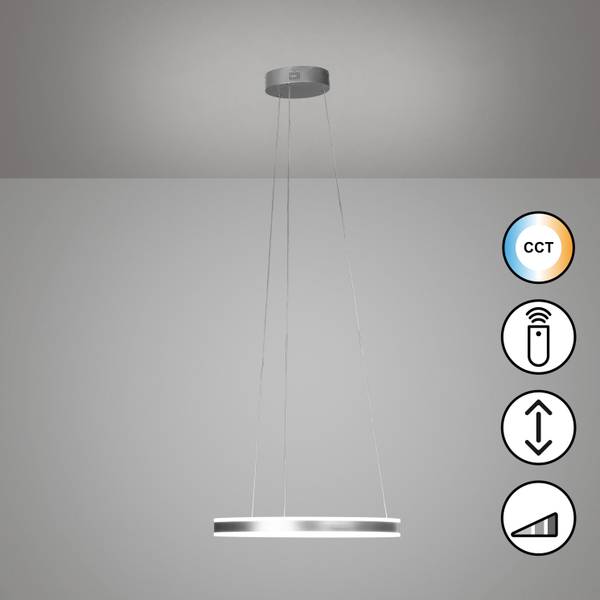 LED-Pendelleuchte Sirko Typ A - Eisen / Acrylglas - 1-flammig - Matt Nickel - Durchmesser: 50 cm