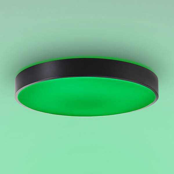 LED-Deckenleuchte Vadin - Eisen / Kunststoff - Schwarz - 1-flammig - Durchmesser: 49 cm