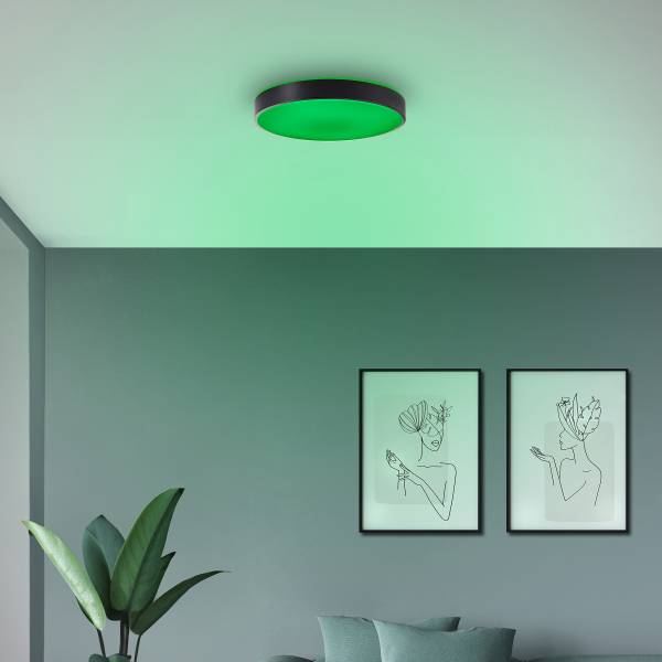 LED-Deckenleuchte Vadin - Eisen / Kunststoff - Schwarz - 1-flammig - Durchmesser: 49 cm