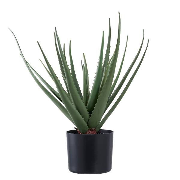 Kunstpflanze Aloe Vera - Grün - Polyethylen - 31 x 51 x 31 cm