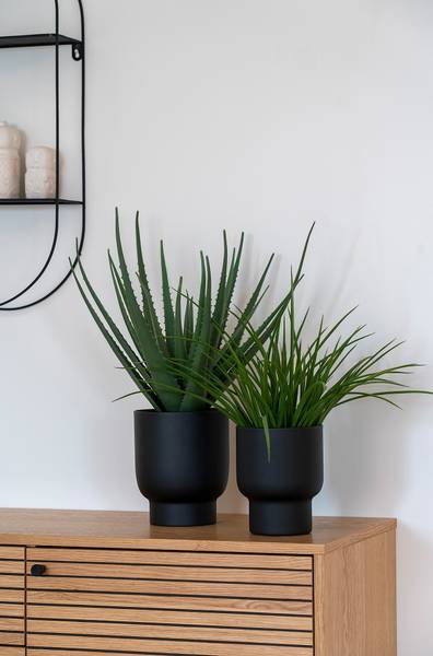 Kunstpflanze Aloe Vera - Grün - Polyethylen - 31 x 51 x 31 cm