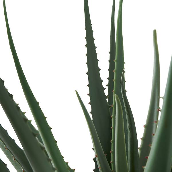 Kunstpflanze Aloe Vera - Grün - Polyethylen - 31 x 51 x 31 cm