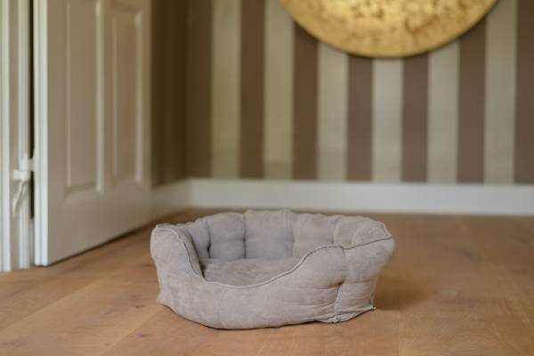 Hunde- & Katzensofa George L - Polyester - Grau