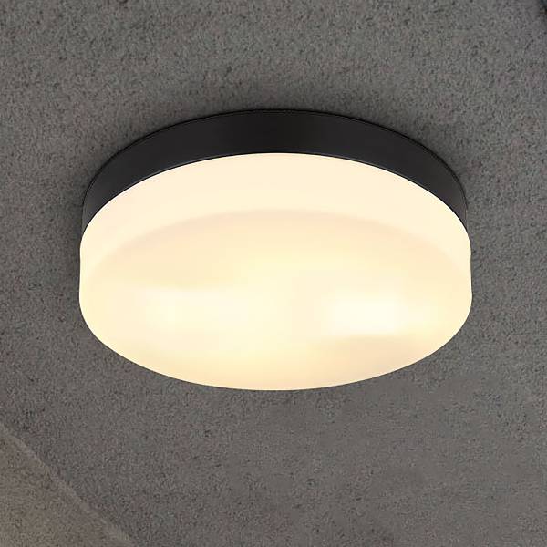 Deckenleuchte Vranos - Aluminium - 2-flammig - Matt Schwarz - Durchmesser: 24 cm