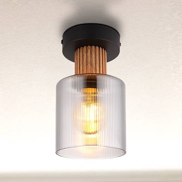 Deckenleuchte Aleidis - Rauchglas / Eisen - Flammenanzahl: 1