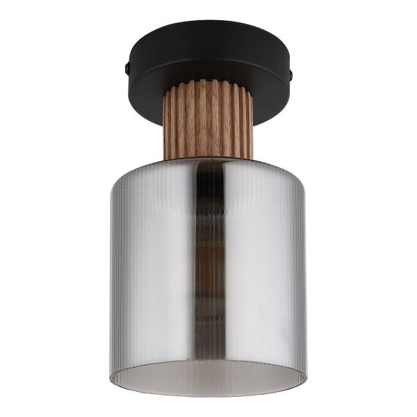 Deckenleuchte Aleidis - Rauchglas / Eisen - Flammenanzahl: 1