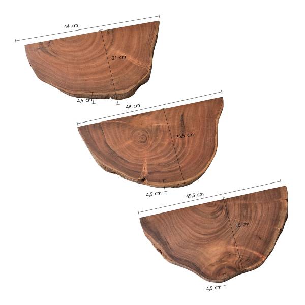 Baumscheiben-Wandboard Bothia 3er-Set - Akazie