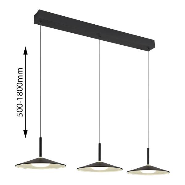 LED-Pendelleuchte Lampone Typ C - Eisen / Acrylglas - 1-flammig - Schwarz