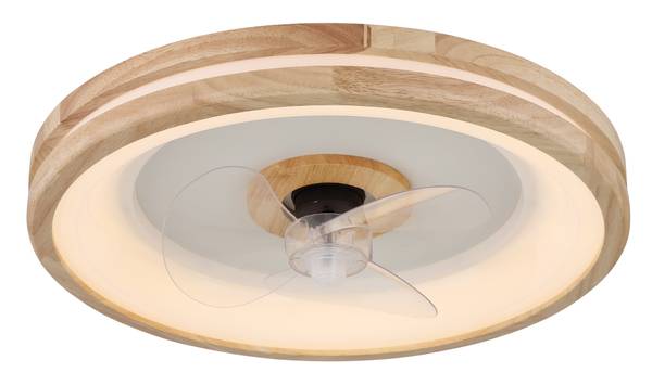 LED-Deckenventilator Gatian Typ A - Acrylglas / Eisen - 1-flammig