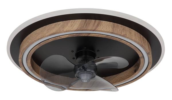LED-Deckenventilator Bozan - Acrylglas / Eisen - 1-flammig
