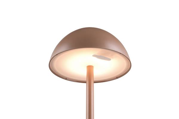 LED-Tischleuchte Ricardo - ABS - 1-flammig