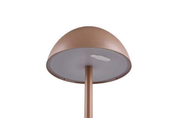 LED-Tischleuchte Ricardo - ABS - 1-flammig