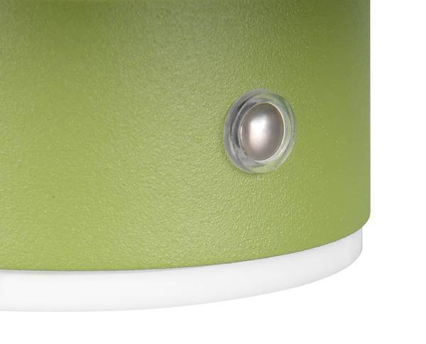 LED-Wandleuchte Davey - Eisen - 1-flammig - Grün