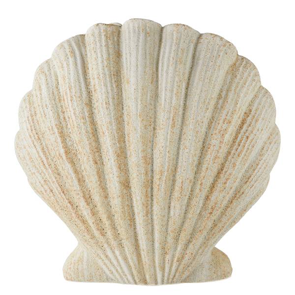 Vase CORAL COAST Muschel - Steingut - Beige