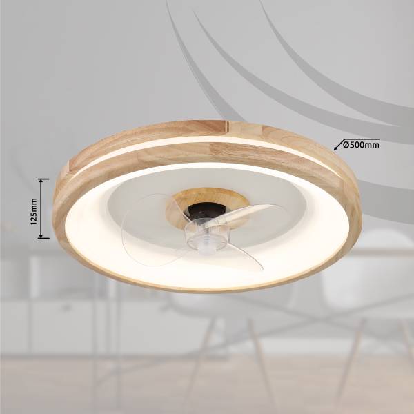 LED-Deckenleuchte Helia - Acrylglas / Eisen - 1-flammig