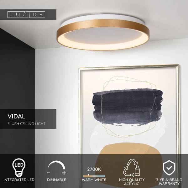 LED-Deckenleuchte Vidal - Acrylglas - Gold - Durchmesser: 48 cm