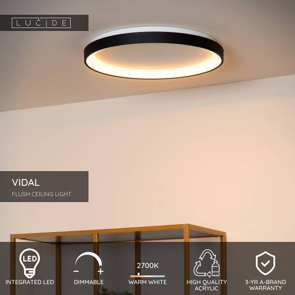 LED-Deckenleuchte Vidal - Acrylglas - Schwarz - Durchmesser: 48 cm