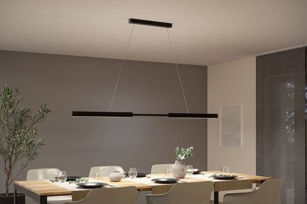 LED-Pendelleuchte Aptare - Aluminium - Schwarz