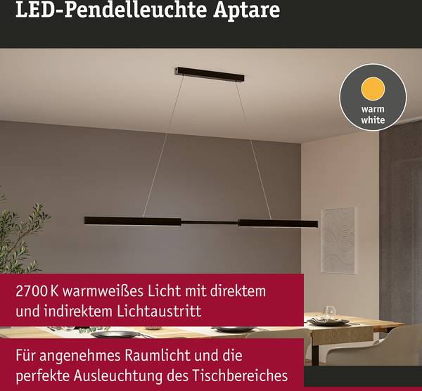 LED-Pendelleuchte Aptare - Aluminium - Schwarz