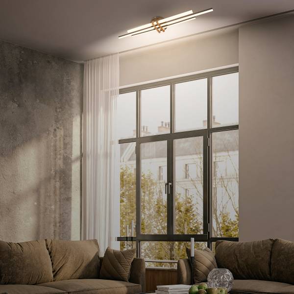 LED-Deckenleuchte Vinka - Aluminium / Polyethylen - Schwarz