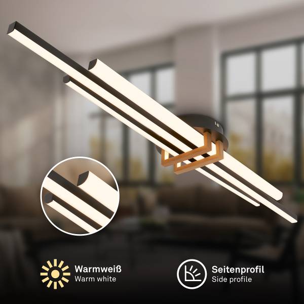 LED-Deckenleuchte Vinka - Aluminium / Polyethylen - Schwarz