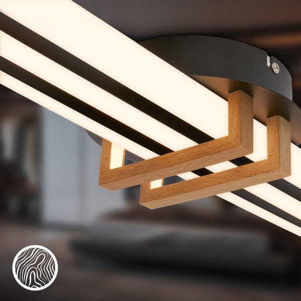 LED-Deckenleuchte Vinka - Aluminium / Polyethylen - Schwarz