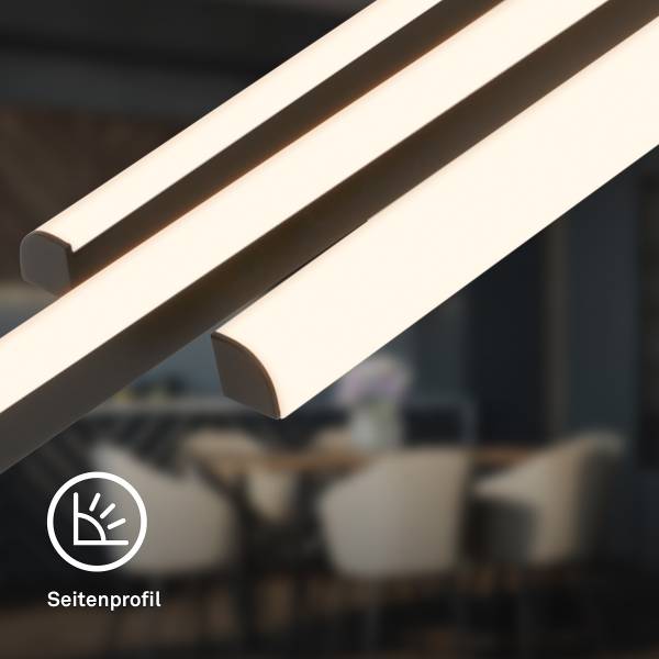LED-Deckenleuchte Vinka - Aluminium / Polyethylen - Schwarz