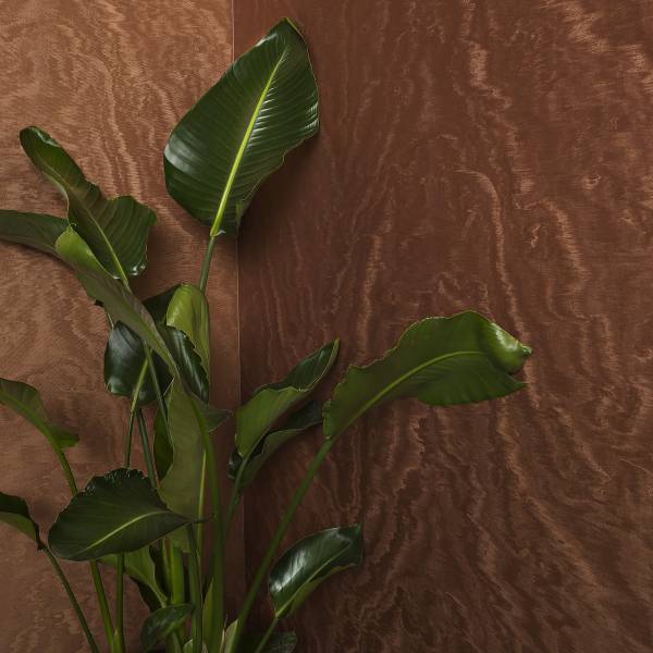 Vliestapete 86545 Metalloptik - Vlies - Kupfer