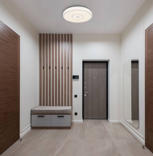 LED-Deckenleuchte Astania Typ B - Acrylglas / Eisen - 1-flammig