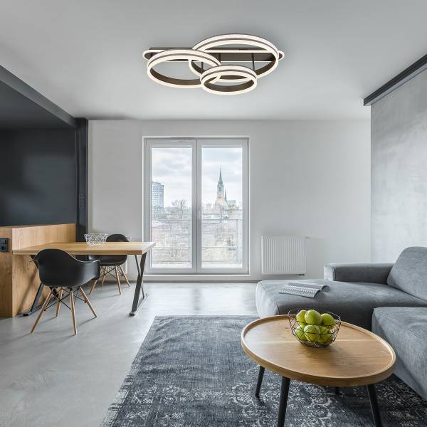 LED-Deckenleuchte Grouni Typ B - Acrylglas / Eisen - 1-flammig