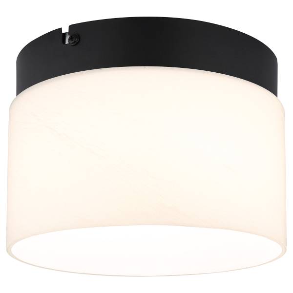 LED-Deckenleuchte Trenton - Opalglas / Eisen - 1-flammig