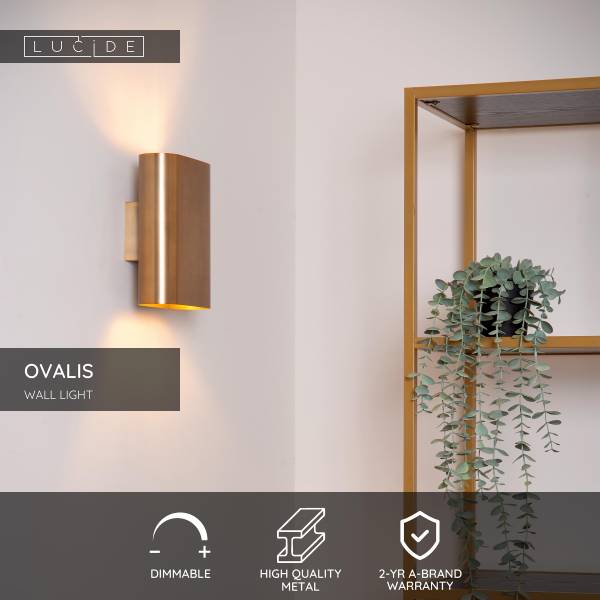 Wandleuchte Ovalis - Eisen - Gold