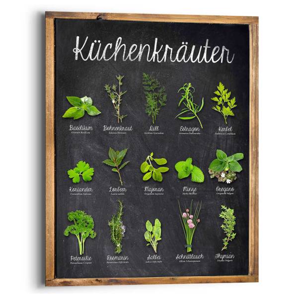 Wandbild Küchenkräuter - MDF - Grün - 40 x 50 cm