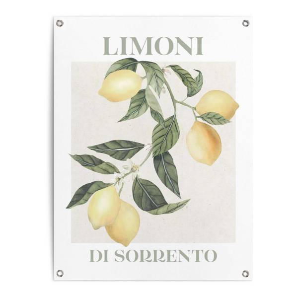 Outdoor-Poster Limoni - Polyester- Gelb - 60 x 80 cm