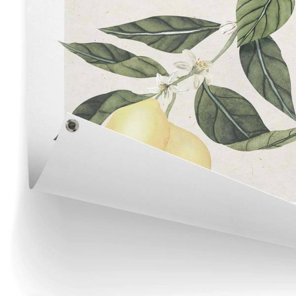 Outdoor-Poster Limoni - Polyester- Gelb - 60 x 80 cm