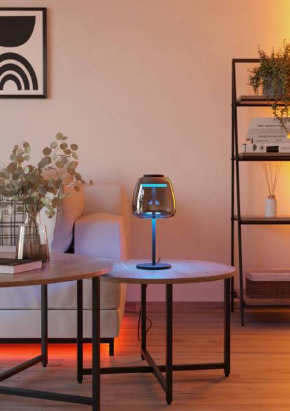 LED-Tischleuchte Alfero - Rauchglas / Stahl - 1-flammig