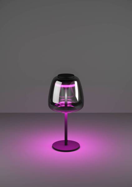 LED-Tischleuchte Alfero - Rauchglas / Stahl - 1-flammig