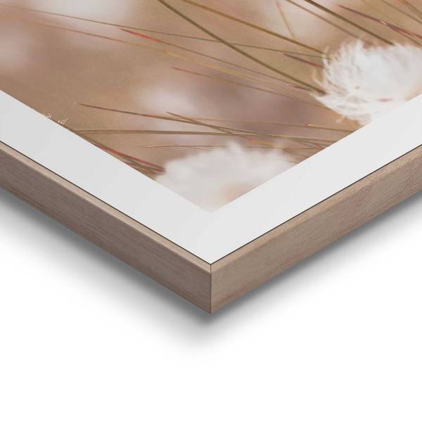 Kunstdruck Cotton Pops - MDF - Beige