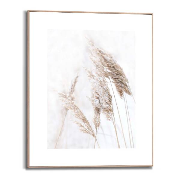 Kunstdruck Pampasgras - MDF - Beige
