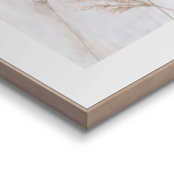 Kunstdruck Pampasgras - MDF - Beige