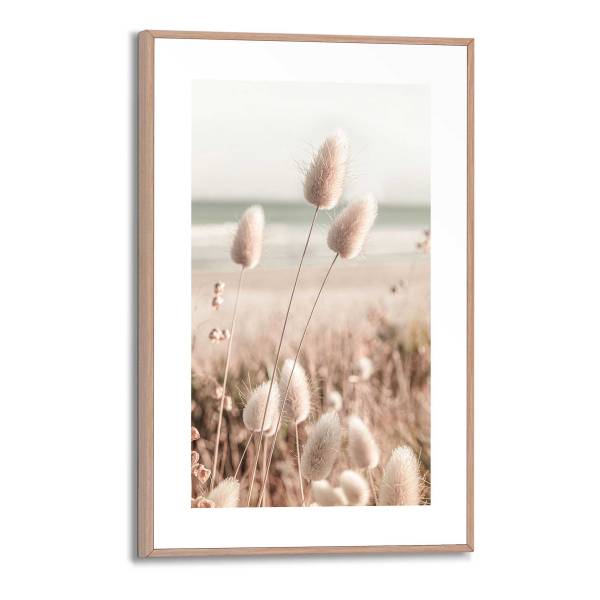 Kunstdruck Ziergras - MDF - Beige / Weiß
