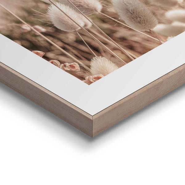 Kunstdruck Ziergras - MDF - Beige / Weiß