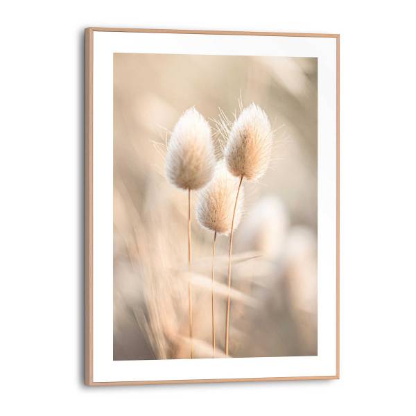 Kunstdruck Plumes - MDF - Beige