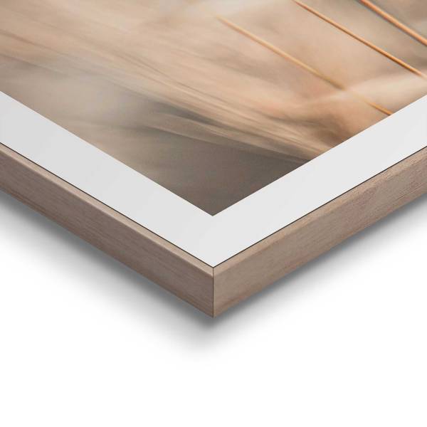 Kunstdruck Plumes - MDF - Beige
