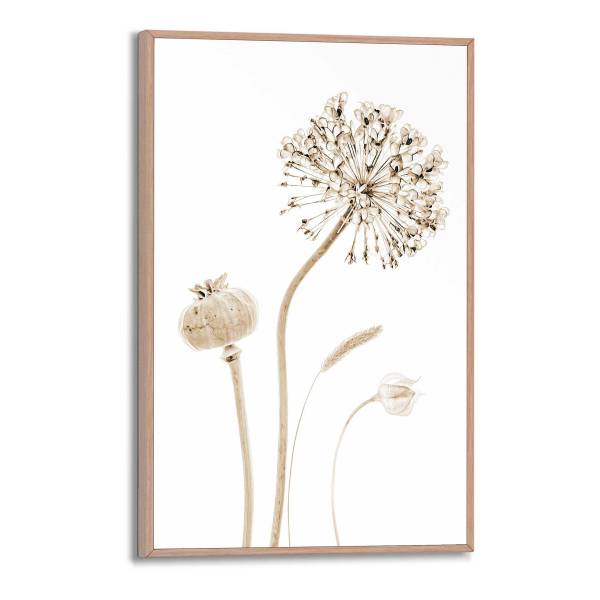 Kunstdruck Trockenblumen - MDF - Beige / Weiß