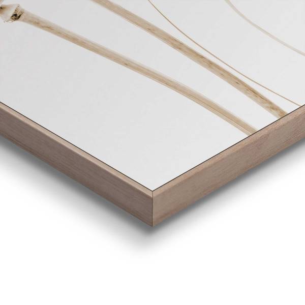 Kunstdruck Trockenblumen - MDF - Beige / Weiß