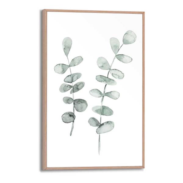 Kunstdruck Eukalyptus - MDF - Grün / Beige